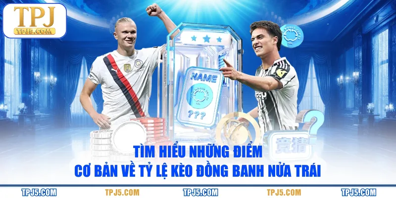 Tìm hiểu những điểm cơ bản về tỷ lệ kèo đồng banh nửa trái